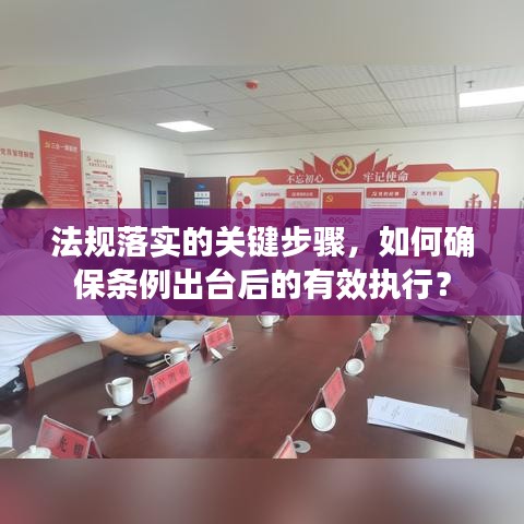 法规落实的关键步骤,如何确保条例出台后的有效执行?
