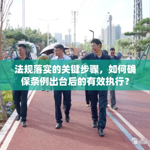 法规落实的关键步骤,如何确保条例出台后的有效执行?