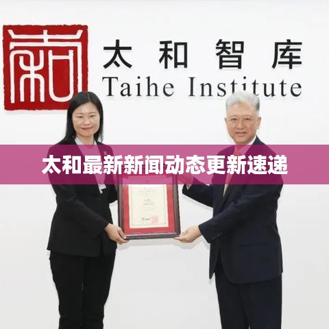 太和最新新闻动态更新速递