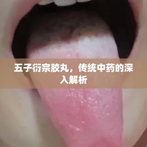 百鸟齐鸣 第5页