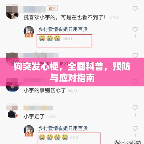 狗突发心梗，全面科普，预防与应对指南