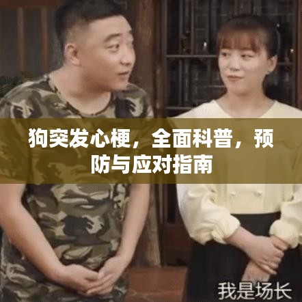 狗突发心梗,全面科普,预防与应对指南
