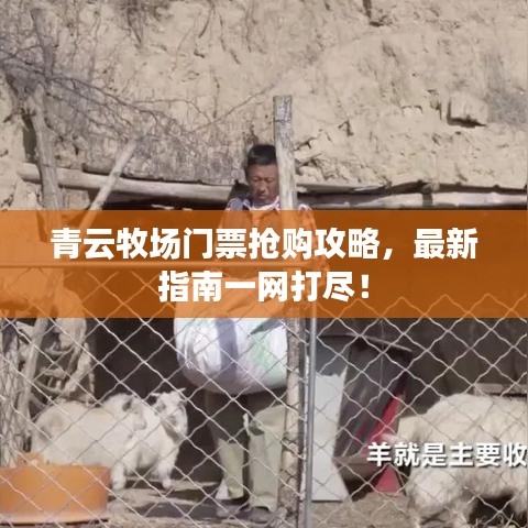 青云牧场门票抢购攻略,最新指南一网打尽!