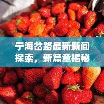 宁海岔路最新新闻探索，新篇章揭秘！