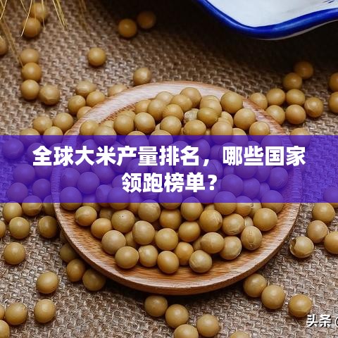 全球大米产量排名，哪些国家领跑榜单？