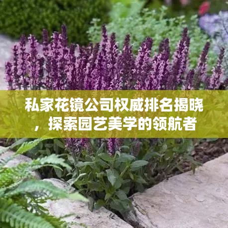 私家花镜公司权威排名揭晓,探索园艺美学的领航者