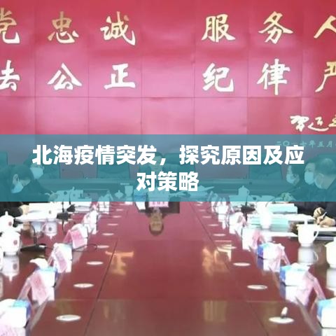 北海疫情突发，探究原因及应对策略