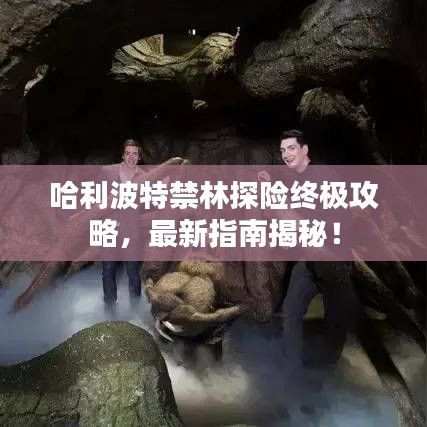 哈利波特禁林探险终极攻略，最新指南揭秘！