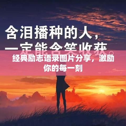 经典励志语录图片分享，激励你的每一刻