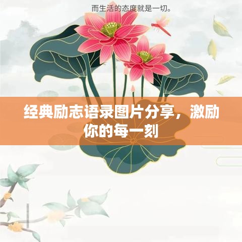 经典励志语录图片分享,激励你的每一刻