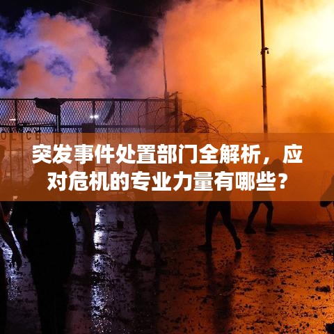 突发事件处置部门全解析,应对危机的专业力量有哪些?