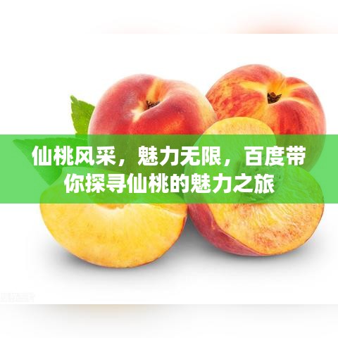 仙桃风采，魅力无限，百度带你探寻仙桃的魅力之旅