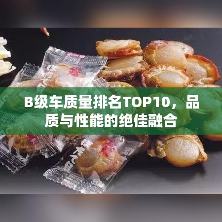 B级车质量排名TOP10，品质与性能的绝佳融合