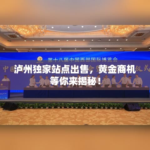 泸州独家站点出售，黄金商机等你来揭秘！