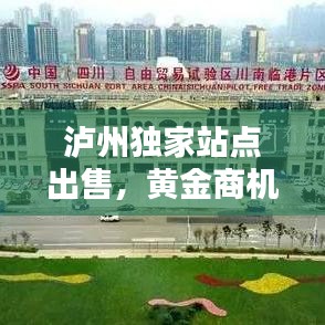 泸州独家站点出售,黄金商机等你来揭秘!