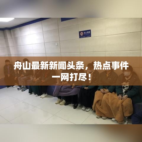 舟山最新新闻头条，热点事件一网打尽！