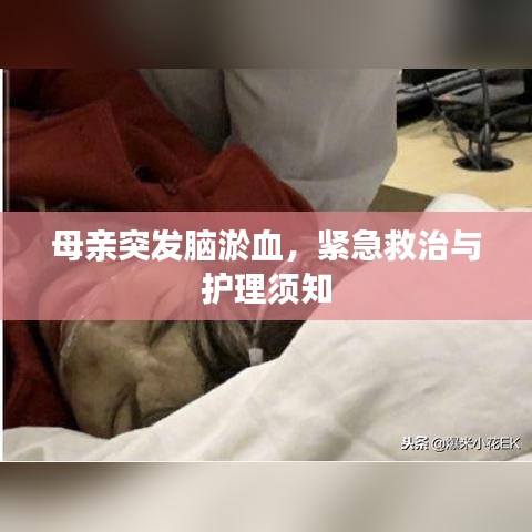 母亲突发脑淤血,紧急救治与护理须知