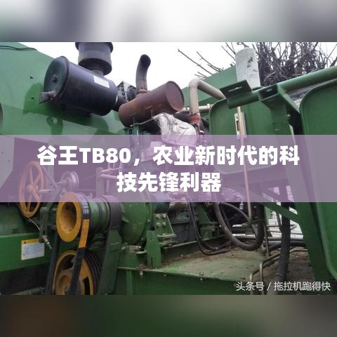 谷王TB80，农业新时代的科技先锋利器