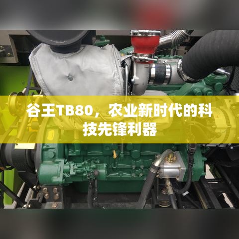 谷王TB80,农业新时代的科技先锋利器
