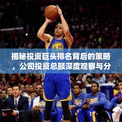 揭秘投资巨头排名背后的策略,公司投资总额深度观察与分析