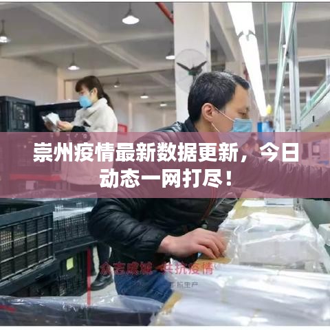 崇州疫情最新数据更新,今日动态一网打尽!