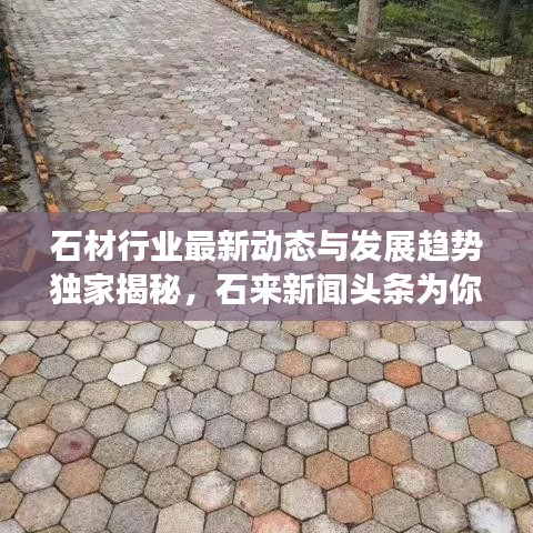石材行业最新动态与发展趋势独家揭秘,石来新闻头条为你播报