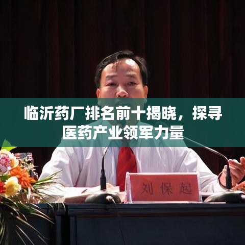 临沂药厂排名前十揭晓，探寻医药产业领军力量