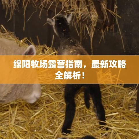 绵阳牧场露营指南,最新攻略全解析!