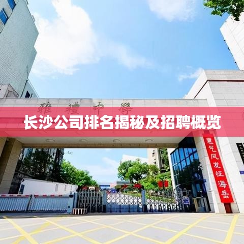 长沙公司排名揭秘及招聘概览