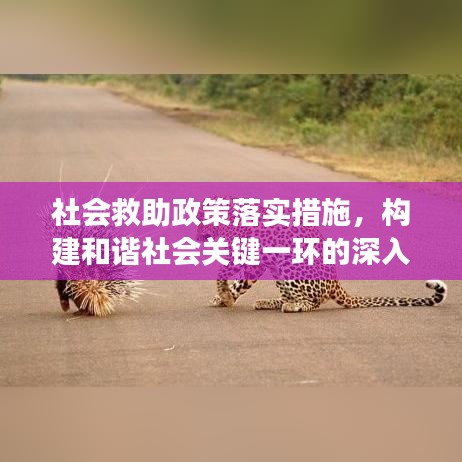 社会救助政策落实措施，构建和谐社会关键一环的深入解读