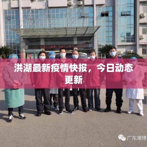 洪湖最新疫情快报,今日动态更新