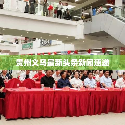 贵州义乌最新头条新闻速递