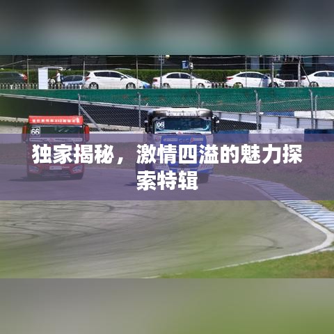 独家揭秘，激情四溢的魅力探索特辑