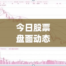 今日股票盘面动态速递,最新股票动态一览
