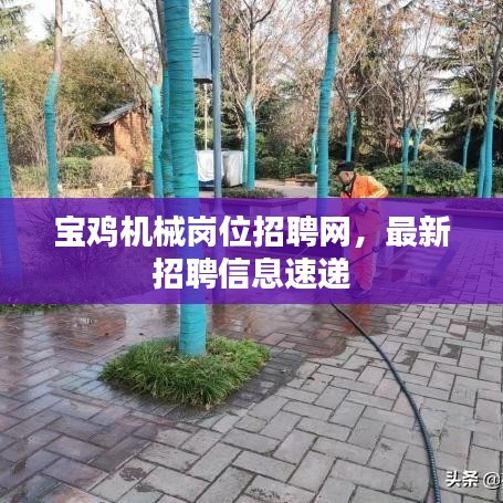 宝鸡机械岗位招聘网,最新招聘信息速递