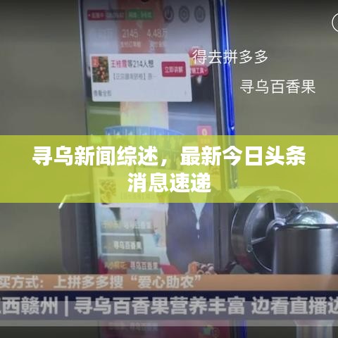 寻乌新闻综述，最新今日头条消息速递