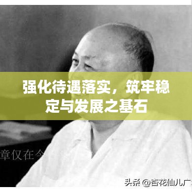 强化待遇落实，筑牢稳定与发展之基石