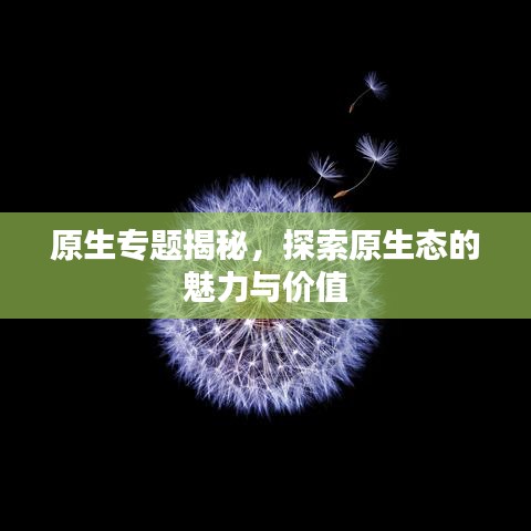 原生专题揭秘，探索原生态的魅力与价值