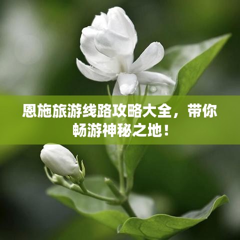 恩施旅游线路攻略大全,带你畅游神秘之地!