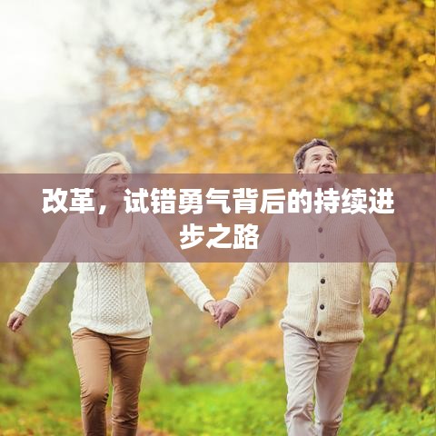 改革,试错勇气背后的持续进步之路