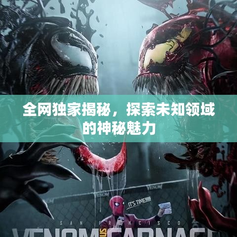 全网独家揭秘，探索未知领域的神秘魅力
