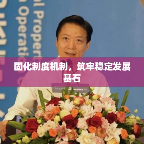 固化制度机制，筑牢稳定发展基石