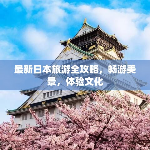 暗黑单机版手机及猫咪社区app官方下载,权威诠释方法 Pixel_v2.195