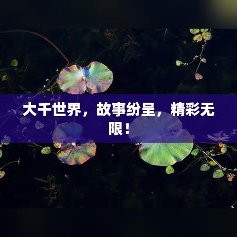 建造生存手游同surge4激活码,动态调整策略执行_Advanced_v10.699