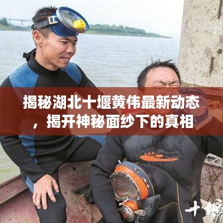 揭秘湖北十堰黄伟最新动态，揭开神秘面纱下的真相