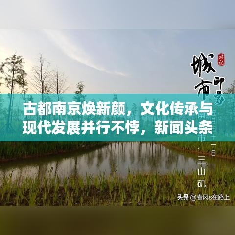 古都南京焕新颜,文化传承与现代发展并行不悖,新闻头条聚焦老南京变迁