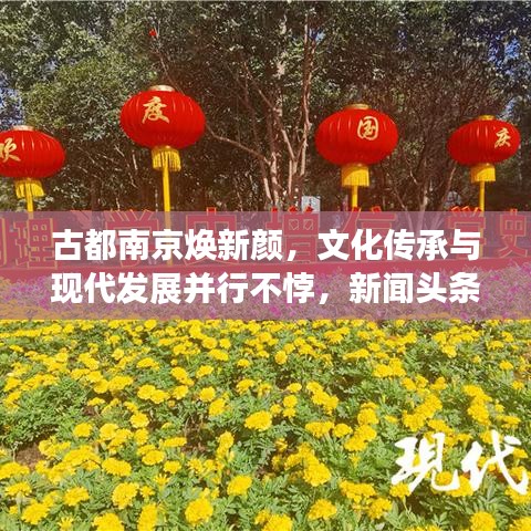 古都南京焕新颜,文化传承与现代发展并行不悖,新闻头条聚焦老南京变迁