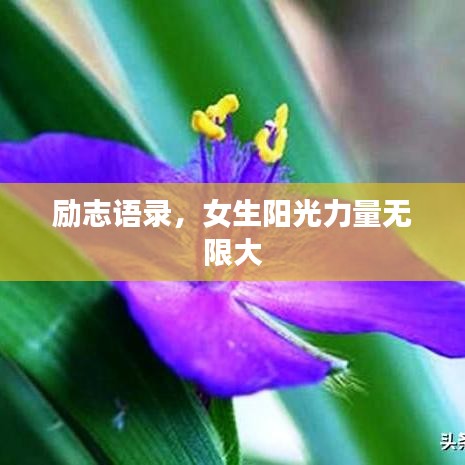 励志语录,女生阳光力量无限大