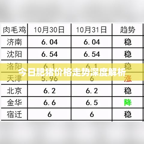 今日肥猪价格走势深度解析