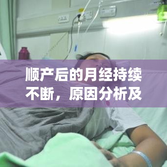 花容月貌 第4页